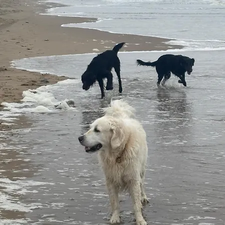 Duin 10 3* Katwijk aan Zee