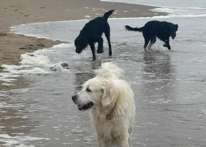 Duin 10 3* Katwijk aan Zee